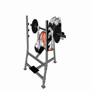 Barbell Decline Bench Press