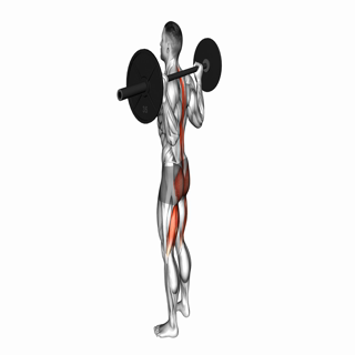 Barbell Good Morning
