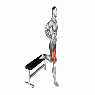 Bulgarian Split Squat