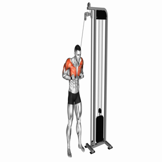 Cable Jack Hammer Pushdown