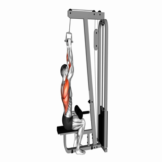Cable Lat Pulldown with V-bar