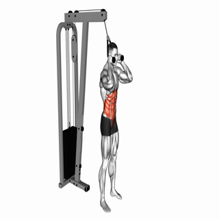 Cable Standing Crunch (with rope attachment)