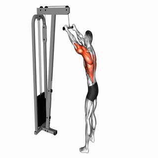Cable Straight Arm Pulldown
