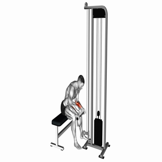 Cable Wrist Curl