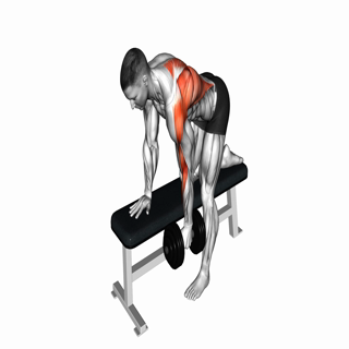 Dumbbell One Arm Row