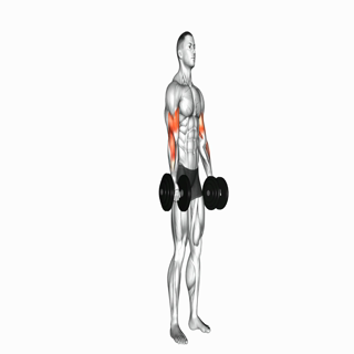 Biceps curl