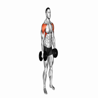 Lateral raise