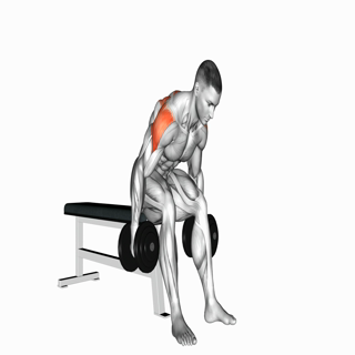 Dumbbell Rear Delt Fly