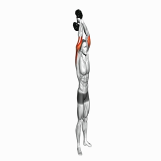 Dumbbell Overhead Triceps Extension