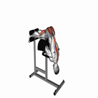 Glute Ham Developer Hip Extension