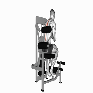 Lever Back Extension