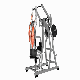 Lever Lat Pulldown (plate loaded)