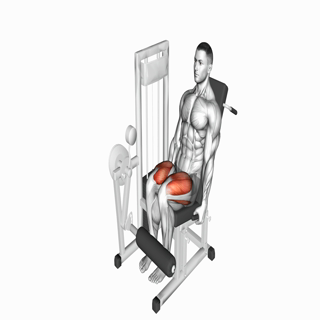 Leg extension