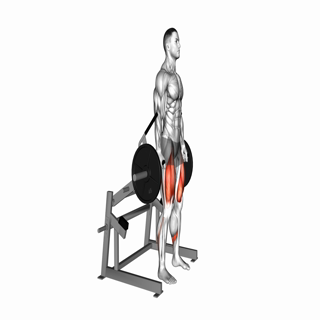 Lever Squat (plate loaded)