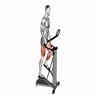 Lever stepper