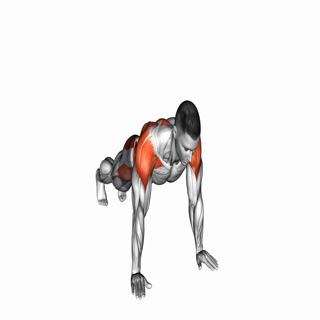 Plank Lateral Raise