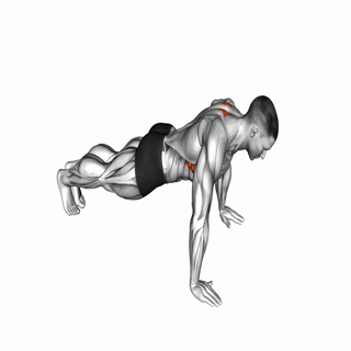 Scapula Push-up