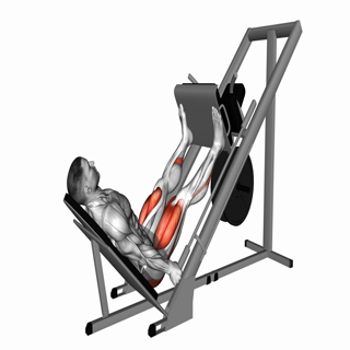 Sled 45 Leg Wide Press